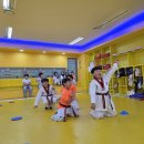 용인대 청명 태권도 이미지