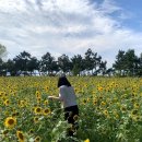 송계 관광안내소 이미지