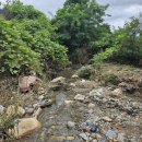 석막리_세천0001 이미지