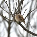 여주-1044 이미지