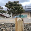 제주청년살이 이미지