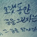 98퍼센트