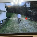 떡군이네떡볶이 영등포점 네이버블로그