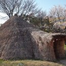 둔산 선사유적지 이미지