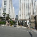 보성통증동물병원 이미지