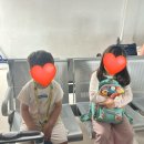 독산서서 | 6살 아이와 발리 | 4일차 길리섬, 에카자야 후기, 길리 폰독산티, 길리전기바이크대여, 길리동쪽 거북이...