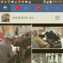 배부른돼지 이미지
