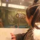 항아리갈비탕 이미지