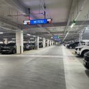 705 | 서울 도쿄 에어서울 rs705 탑승후기(인천공항 파업)