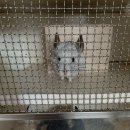 <b>트랜스</b> 광주인