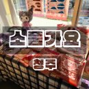 소품가요 | 청주 운리단길 소품샵 아이와함께 가볼만한곳 소품가요 후기