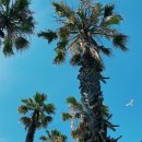 강진한의원 이미지