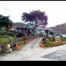 능강민박 이미지