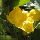 오대산별장 이미지