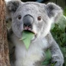 백양사세탁소 이미지