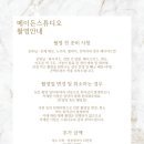 디비스튜디오