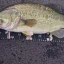 청도천3 이미지