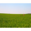 화원농장 이미지