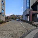 서귀로운날들