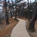 사육신추모제향 | 장릉, 기구한 운명의 어린 임금 단종 묘소