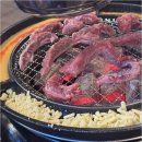 신마포갈매기 이미지