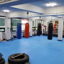 강북권투 이미지