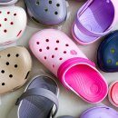 무드무드 이미지