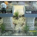 솔루나안경원 이미지