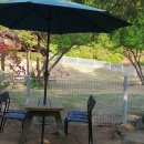 흙과 나무 이미지