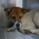 낙성대동-23 이미지