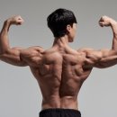 윌 피티 짐 이미지