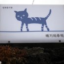 매기의 추억