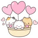 하이클래스컴퍼니 네이버블로그