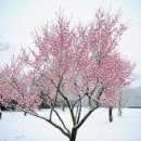 기타등등 이미지