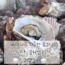 해파랑 | 창원 마산 굴구이 해파랑 | 바다보며 굴구이 먹은 솔직후기