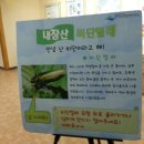 내장산 관광안내소 이미지