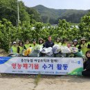와동1리 농민신문