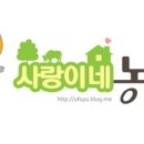 천명농장 이미지