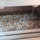 우환농장 이미지