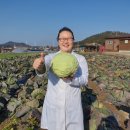 양사농장 이미지