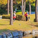 옛 철길 이미지