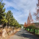 단심골프랜드 이미지