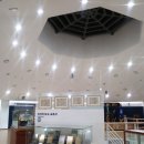 유성탕 | 20220210 부산 혼행(한국해양대학교아치캠퍼스박물관, 국립해양박물관, 무명일기, 삼진어묵 본점...