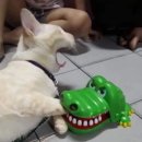 썬피시방 이미지