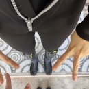 스쿠버다이버의집 | 필리핀 세부 여행 :: 세부다이브에서 첫 스쿠버 다이빙 + SSI 오픈워터 교육 후기