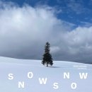 100번길편의점 | 삿포로 훗카이도 여행 1월 2월 날씨 및 비에이투어 준페이식당 포함 후기