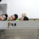 코끼리들이 웃는다 이미지