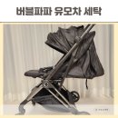 새서울세탁 이미지