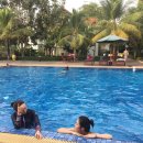 타영 | 2월) 캄보디아 3박 5일