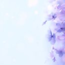 나는 작다/정연복 이미지